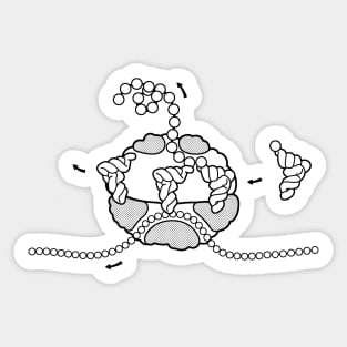 Ribosome Cross Section Microbiology Line Drawing Sticker